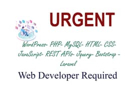 Web Developer - Full Stack - PHP, MYSQL, WordPress/Laravel