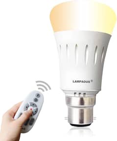 Bulb With Remote