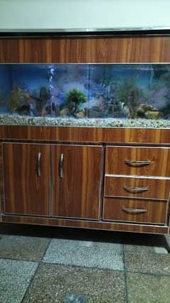 fish aquarium new condition. lmbai 4fit chorai 1.6 fit ghehrai 1.7fit