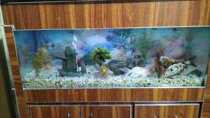 fish aquarium new condition. lmbai 4fit chorai 1.6 fit ghehrai 1.7fit 3