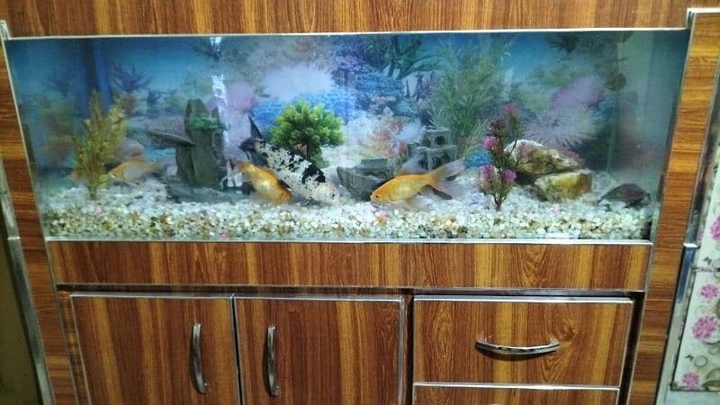 fish aquarium new condition. lmbai 4fit chorai 1.6 fit ghehrai 1.7fit 5