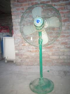 Royal pedestal fan