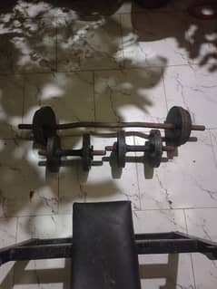 Home Gym Bench and weights