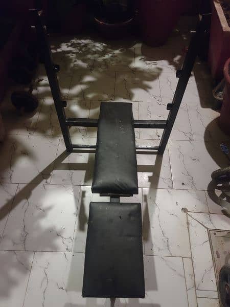 Home Gym Bench and weights 2