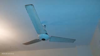 ceiling Fan for sale 0