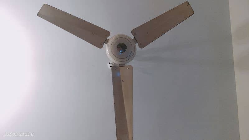ceiling Fan for sale 1