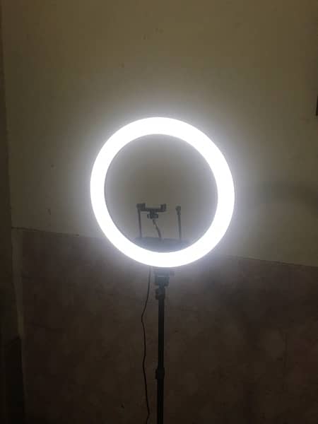 3 colour shades ring light with 7 feet long stand 4