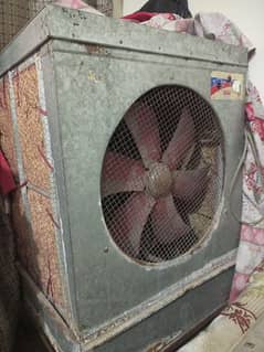 Lahori Cooler For Sale