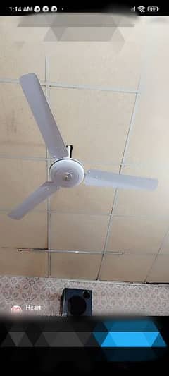 ceiling fan full size