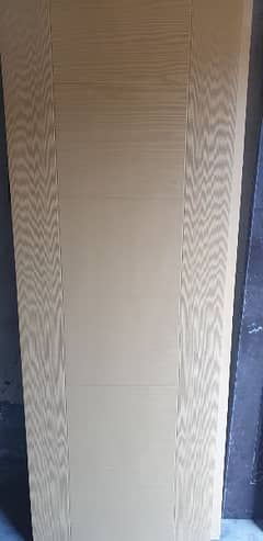 simple fiber pinal door design