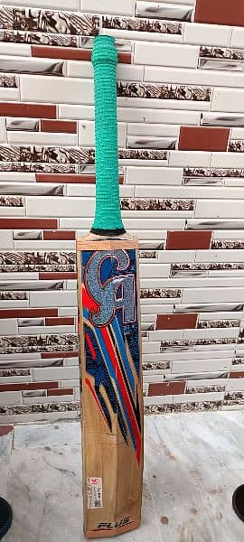Cricket Bat 1