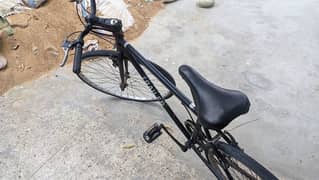 Trailer Hybrid Bicycle