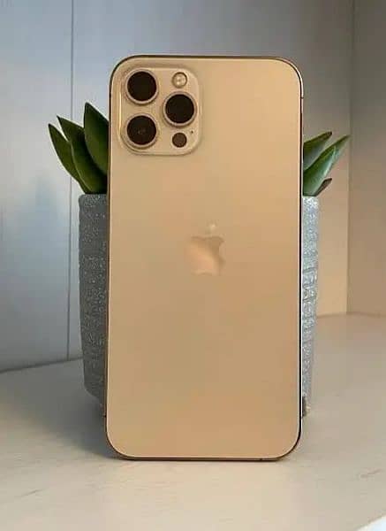 Iphone 12 pro max 256Gb Approved 2