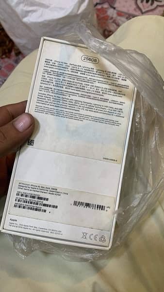 Xs Max 256 GB Golden colour With Original Box & Charger 2