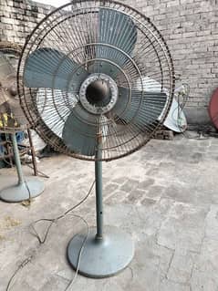 Padistal Fan Pure copper for Sale