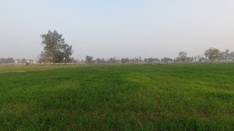 Prime Location 12 Kanal Residential Plot Available For Sale In Sofia Farm Houses, Lahore 6
