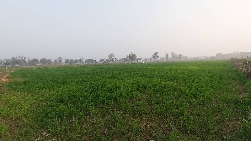 Prime Location 12 Kanal Residential Plot Available For Sale In Sofia Farm Houses, Lahore 7