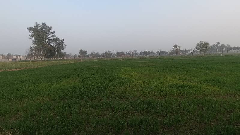 Prime Location 12 Kanal Residential Plot Available For Sale In Sofia Farm Houses, Lahore 11