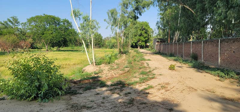 Prime Location 4 Kanal For Your Dream Farm House Plot Is Available 1