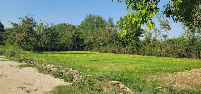 Prime Location 4 Kanal For Your Dream Farm House Plot Is Available 2