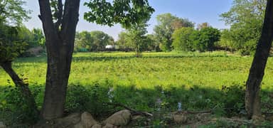 Reserve This Hot Location 2 Kanal For Your Dream Farm House Plot Is Available