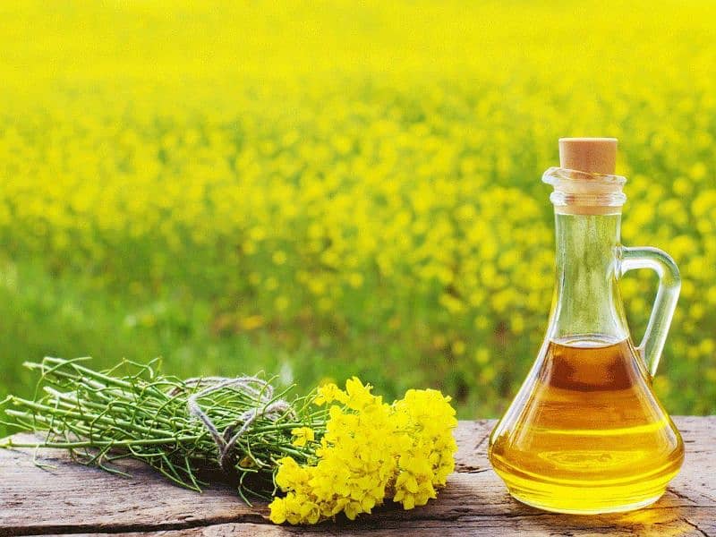 Sarson ka Tail Pure Mustard oil خالص سرسوں کا تیل %100 0