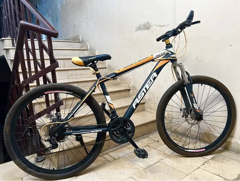 BICYCLE FOR SALE 2