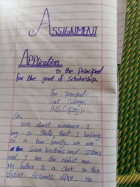 Hand writing assignments work 6