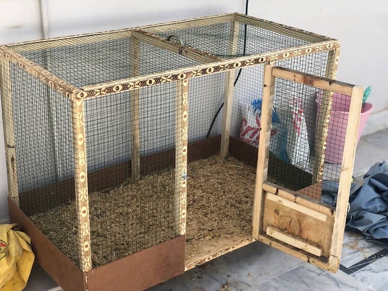 WOODEN CAGE AND BUFF PAIR FOR SALE 0