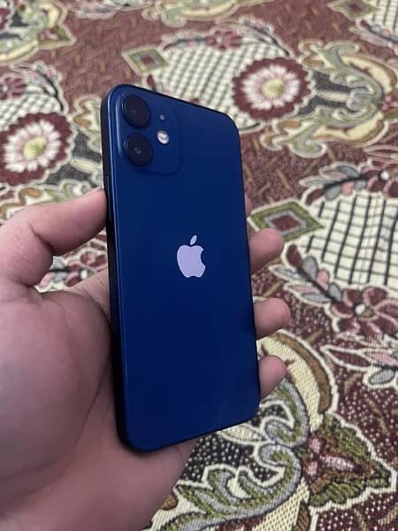 iPhone 12 mini 1