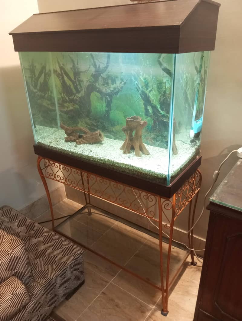 Aquarium, Fish Tank, Fish Aquarium 0