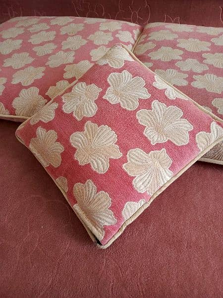 Beautiful pink longue kushans for sell 5
