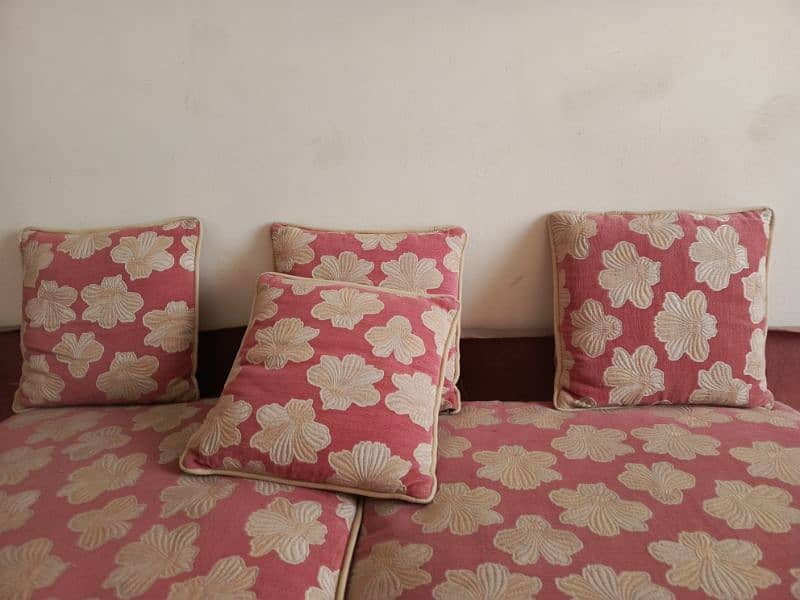 Beautiful pink longue kushans for sell 7