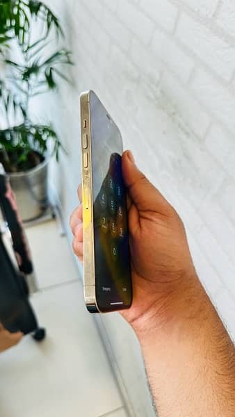 Iphone 12 Pro Max 256GB PTA Approved 4