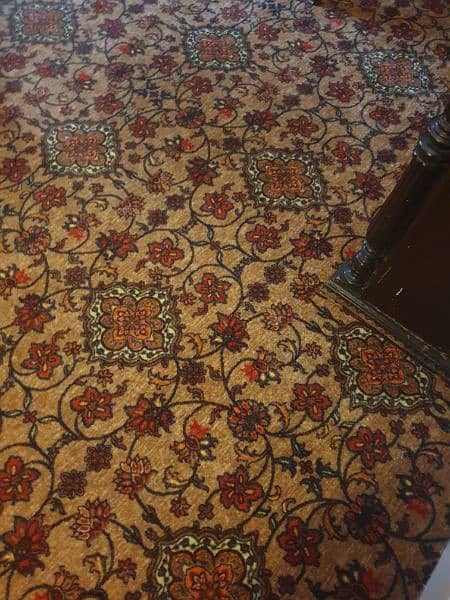 this carpet just use 1 week 2