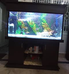 Brand New Fish Aquarium