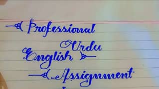 Professional Urdu English assignment work in low cost