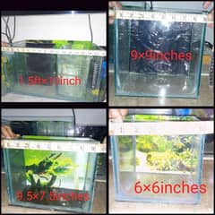 Fish aquarium, betta tanks and fish bowls