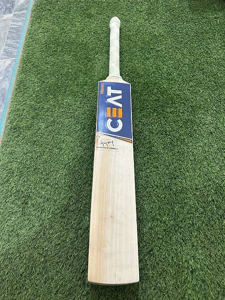 Hardball cricket bat 1
