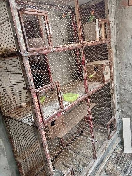 parrot cage 9