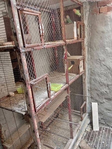 parrot cage 11