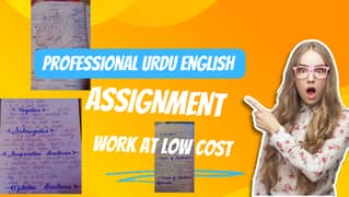 Professional Urdu English assignment work in low cost 0