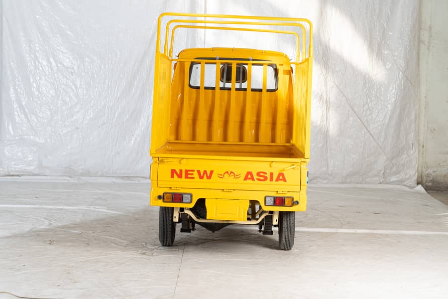 New Asia Auto Loader Rickshaw 200cc 6