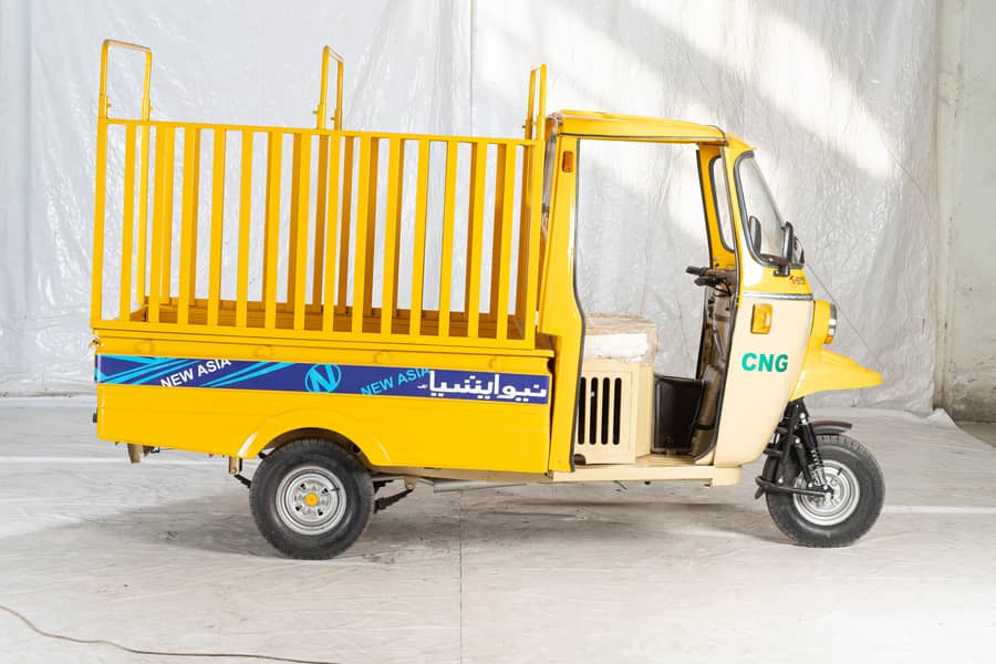 New Asia Auto Loader Rickshaw 200cc Dala 6