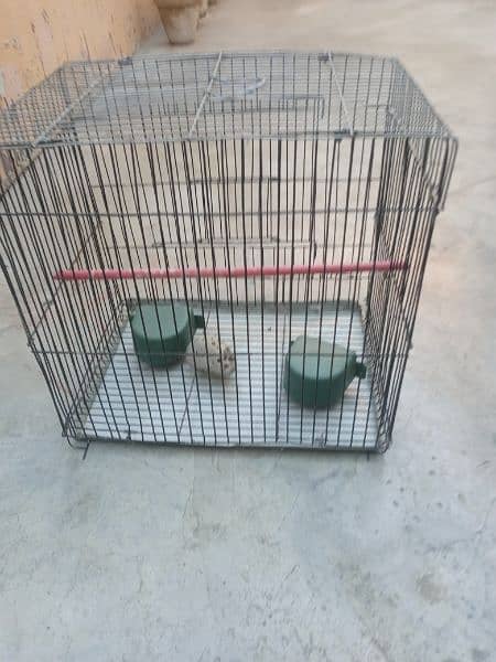 Cage for sale 1