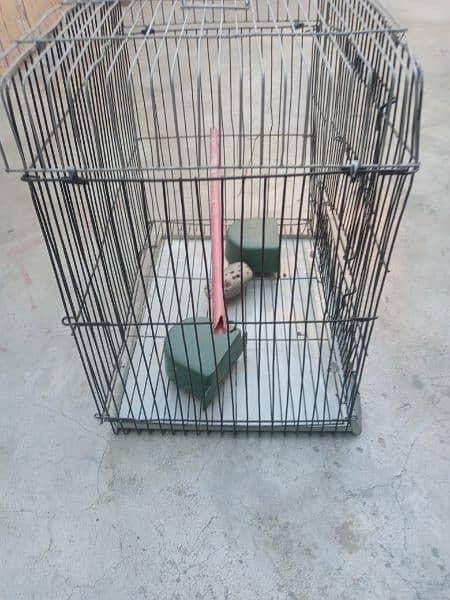 Cage for sale 2