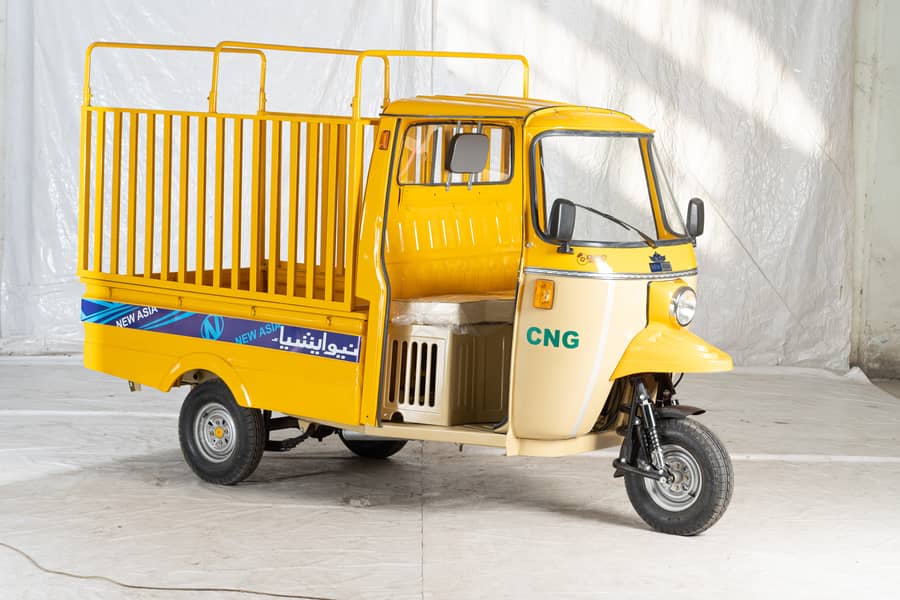New Asia Auto Loader Rickshaw 200cc Dala 5
