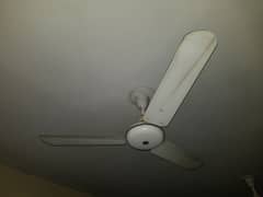 Used ceiling Fan 56"