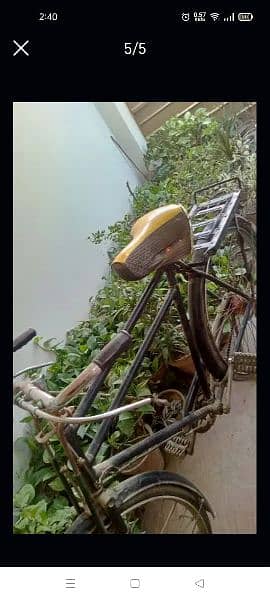 A Bicycle for cell in very reasonable price 0