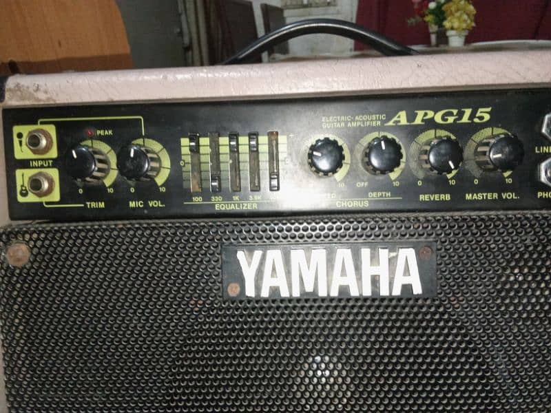 amp use speaker 1